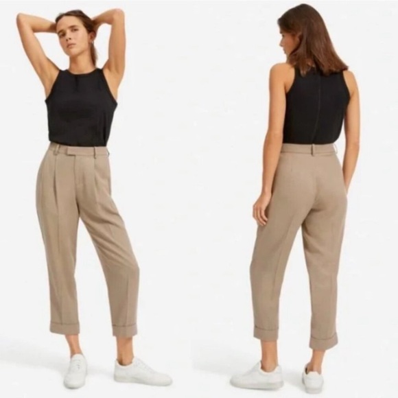 Everlane The Put Together Pleat Pant High Rise Cuffed Lyocell Clay - Picture 3 of 16